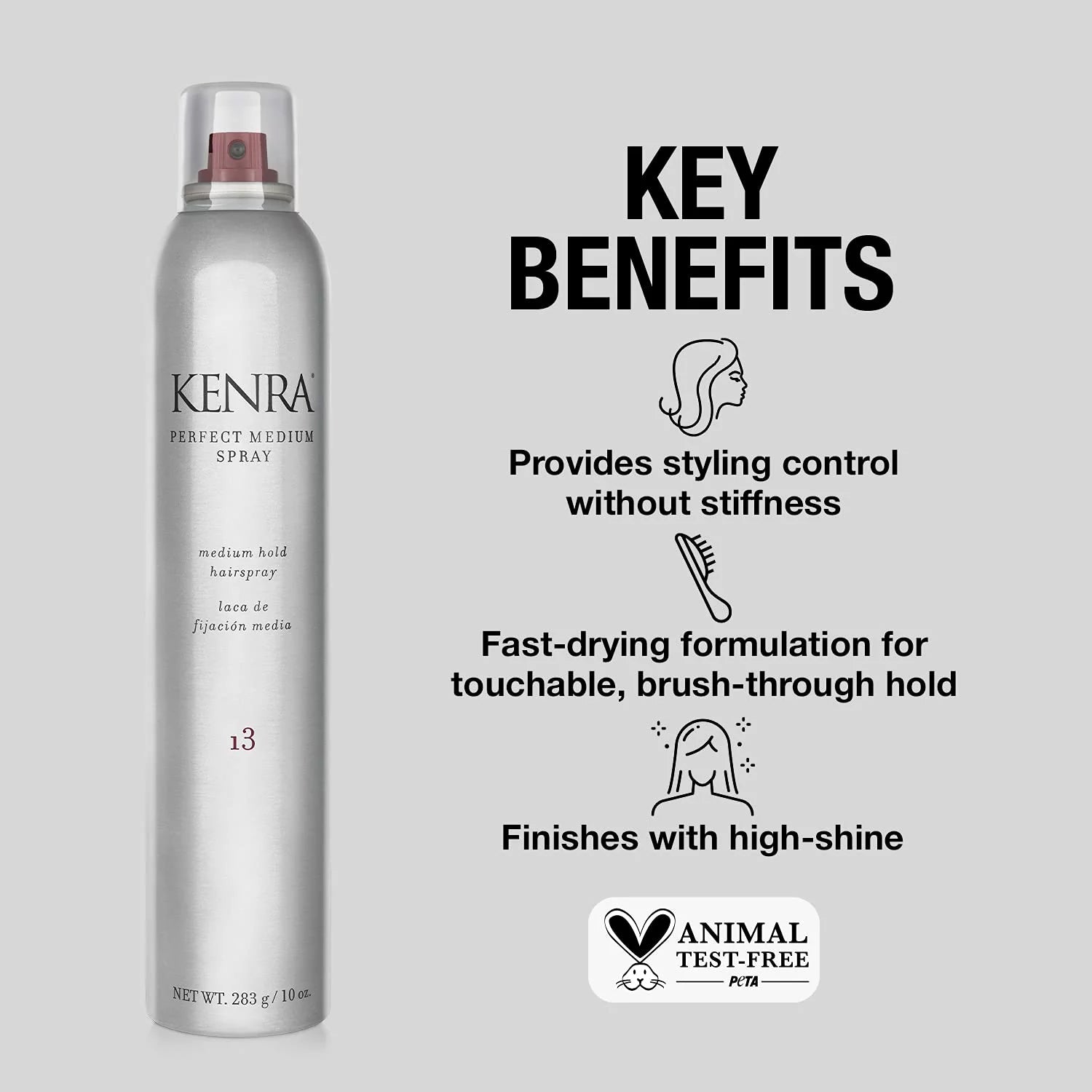 Kenra Medium Hold Perfect Spray Benefit