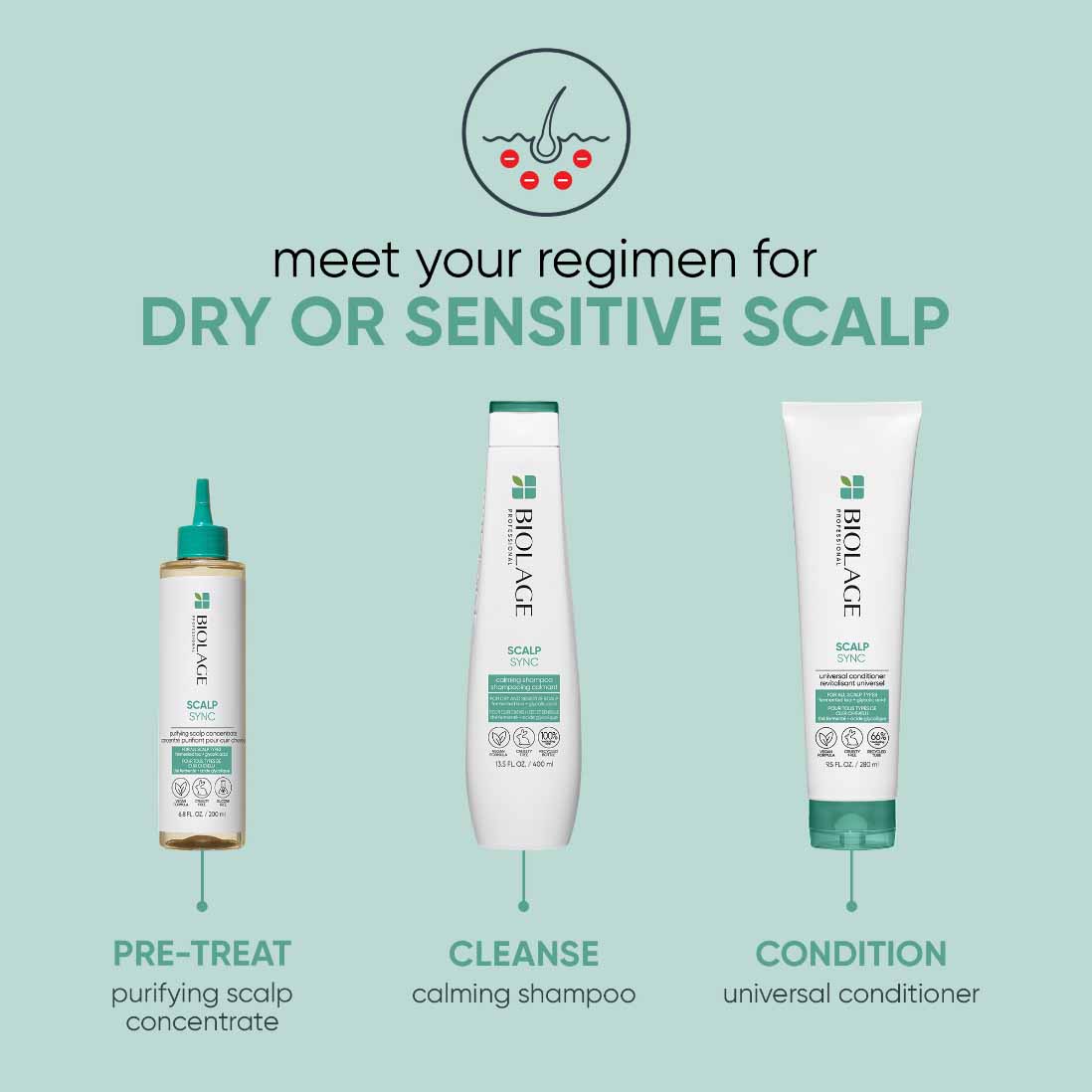 Biolage Scalp Sync Calming Haircare Complete System for Dry or Sensitive Scalp