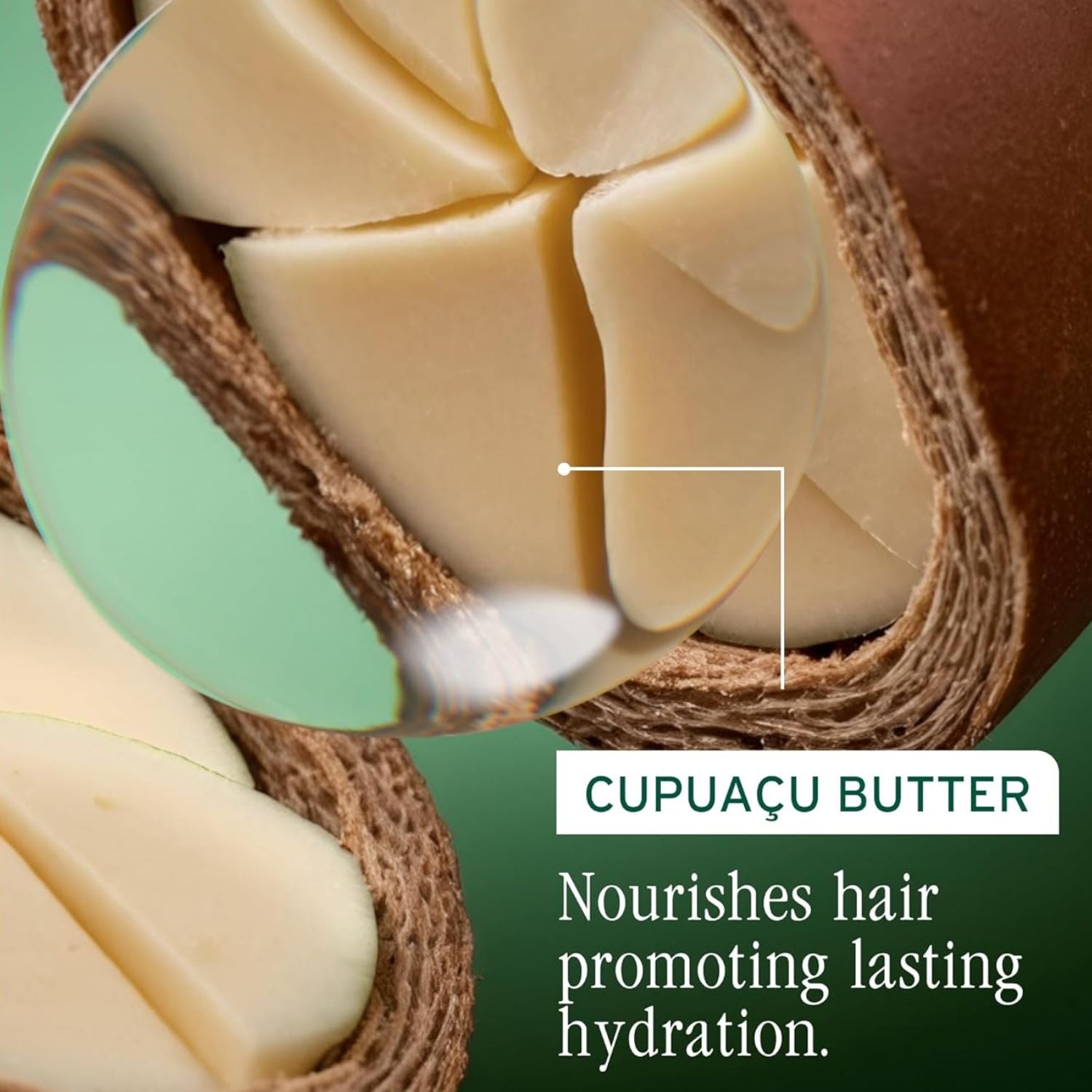 New Biolage Ultra Hydra Source hero ingredient cupuacu butter