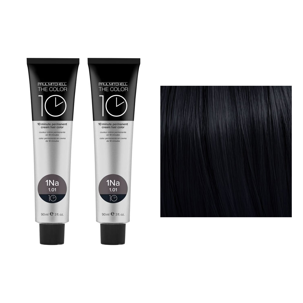 Paul Mitchell The Color 10 Minutes Permanent Natural Ash Duo Set 1NA Darkest Natural Ash Color