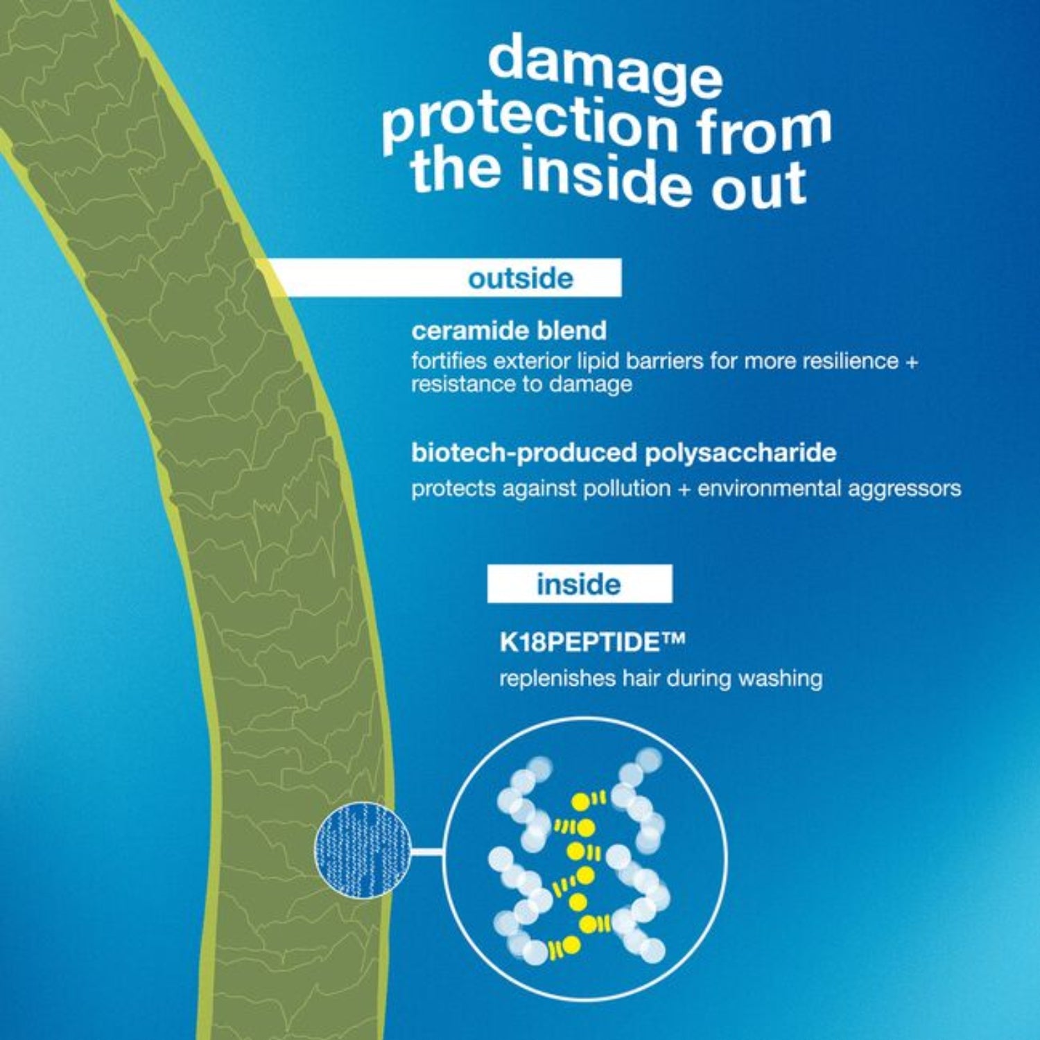K18 DAMAGE SHIELD pH Protective Shampoo result