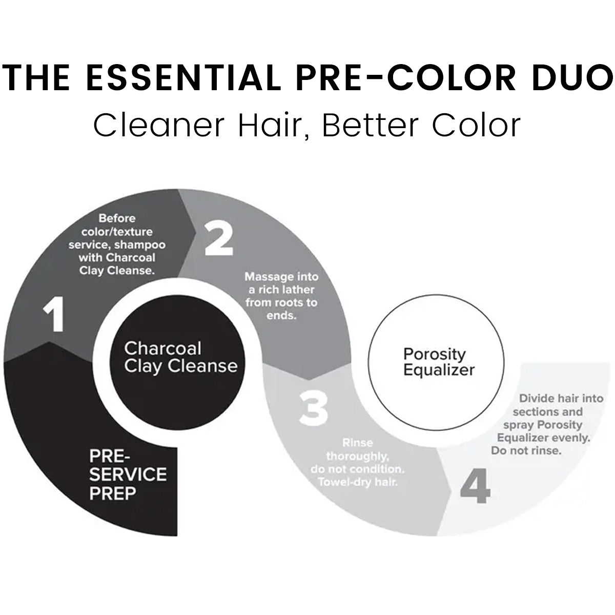Paul Mitchell Professional Prep Cleanse and Equalize duo process