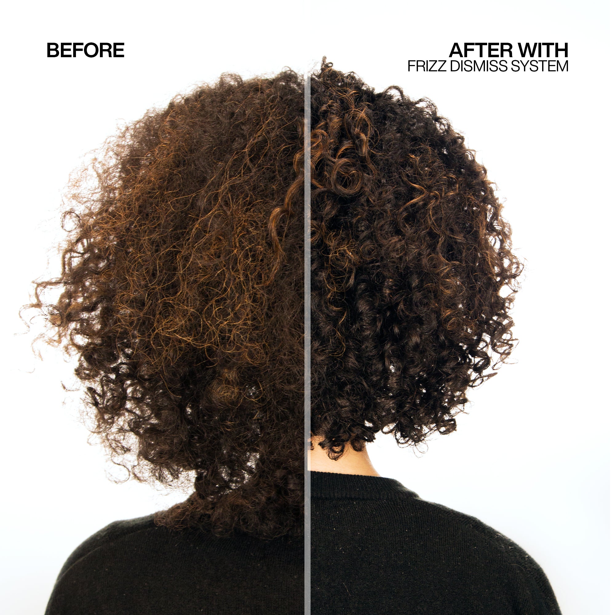 Redken Frizz Dismiss Before After