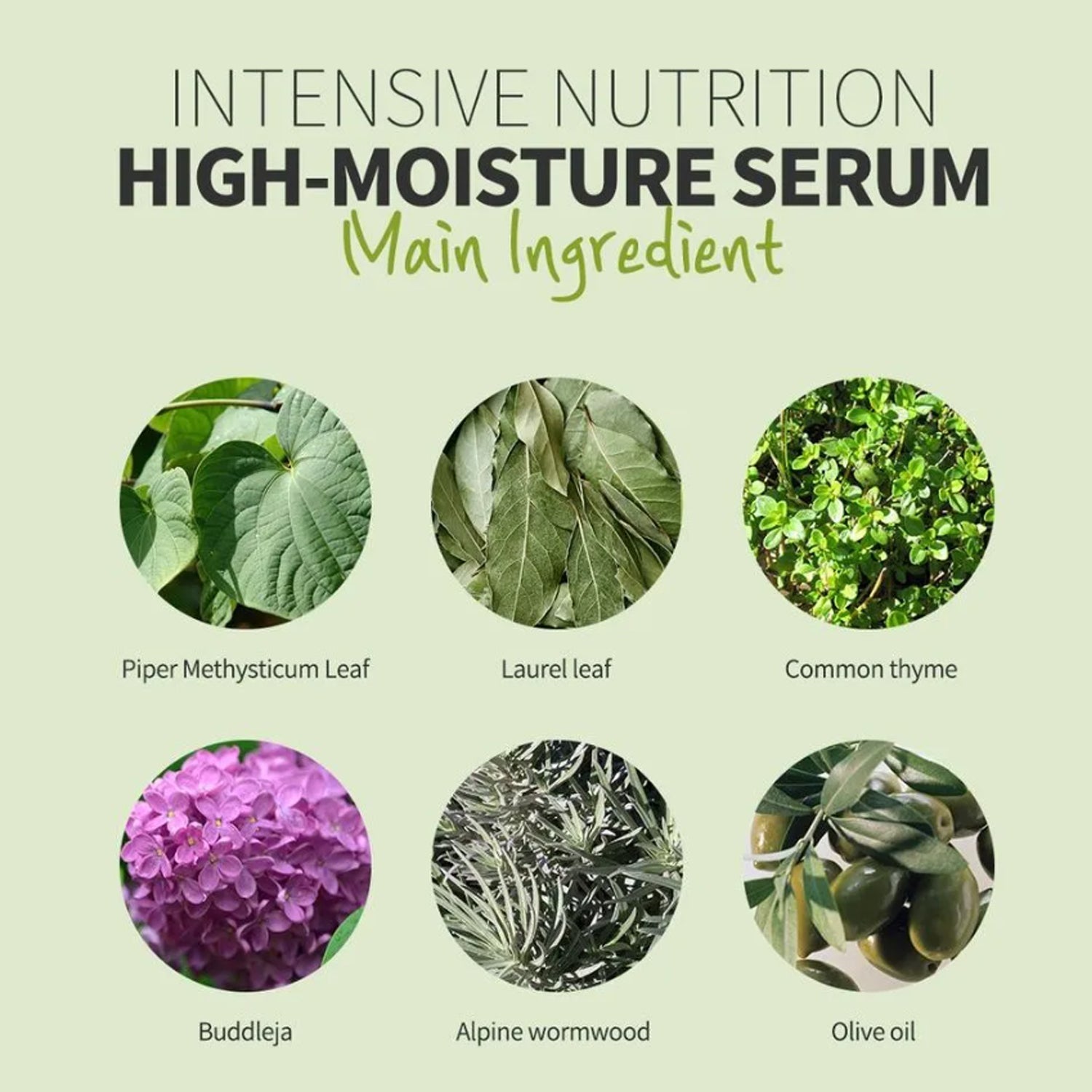 K Beauty Best Botanical Nutrition Set Hydrating Moisturizing Balancing and Soothing Key Ingredients